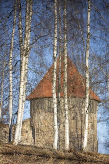 Фото номера Апартаменты с 1 спальней Апартаменты Torņa ielas dzīvoklis г. Алуксне 14