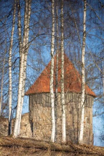 Фото номера Апартаменты с 1 спальней Апартаменты Torņa ielas dzīvoklis г. Алуксне 38