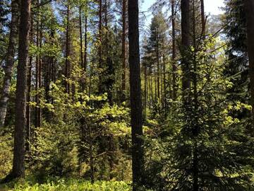 Фото номера Дом с 3 спальнями Дома для отпуска Retumi г. Алуксне 61